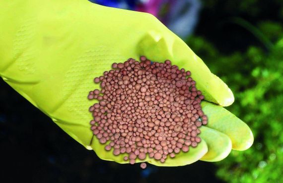 Добриво Нітроамофоска 1 кг | Зображення 1