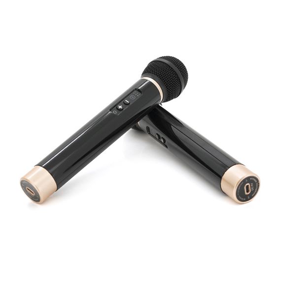 Колонка Kisonli G102 Bluetooth 5.3, Two microphone, 2х8W, 1800mAh, USB/TF/BT/AUX | Зображення 5