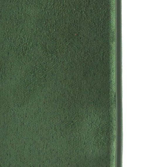 Чохол Silicone Case Full Camera Protective (AA) для Apple iPhone 16 Plus (6.7") Зелений / Cyprus Green | Зображення 6