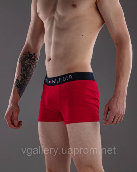 Чоловічі труси боксери TH 5шт у коробці - 5шт чорних трусів у коробці, Чорні труси у коробці Преміум | Зображення 7