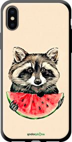 Чохол на iPhone X Єнотик з кавуном "4605b-1050-2448"