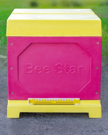 Вулик ППУ “BeeStar” (1 корпус Дадан 300 мм 10 рамок) – кольоровий | Зображення 5