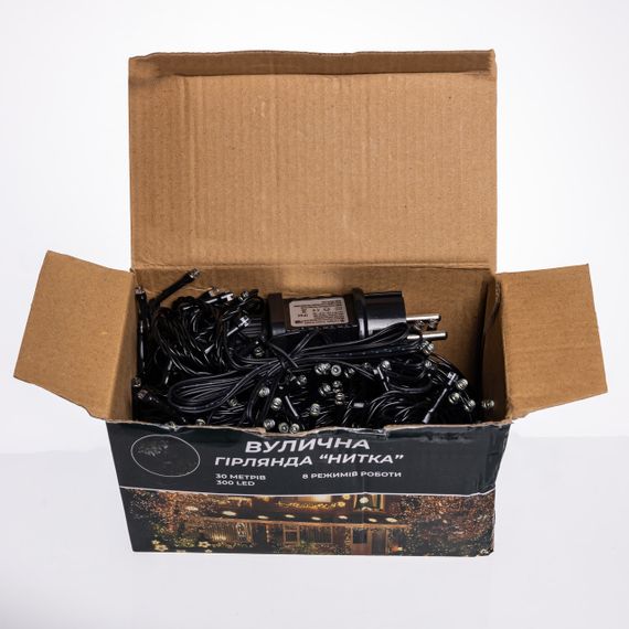 Гірлянда Нитка вулична 30 (м) 300 LED чорний провід Білий CF300L30MBW | Зображення 5