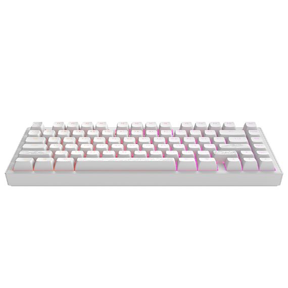 Клавіатура Dark Project ALU81 Terra Nostra PBT RGB Mech G3MS Moonstone White (DPKB_NOSTRA_81_ANSI_WHITE_UA) | Зображення 5