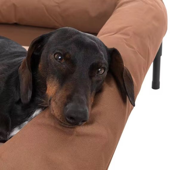 Большая Лежанка Кровать на Ножках Для Больших Собак до 40 кг Pawise Водонепроницаемый Складной Уличный Шезлонг со Съёмным | Зображення 4