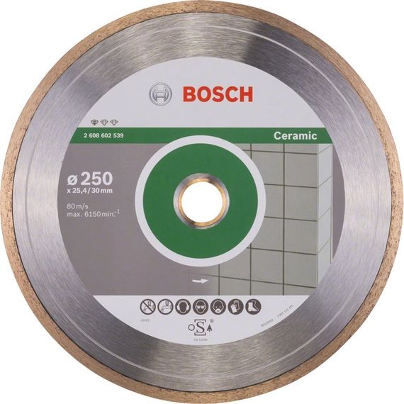 Диск алмазний  Bosch Standard for Ceramic, 250 мм, 25.4-30мм, 1.6мм, 7мм (2.608.602.539)