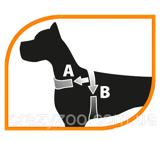 Шлея для собак Ferplast Sport Dog P XS нейлоновая голубая A: 39 см B: 48-58 см 78004525 | Зображення 1