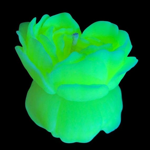 Cвiчка люмінісцентна низькотемпературна GlowKink салатова, L Sex Aura