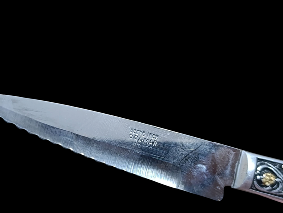 Новий Набір столових приборів Acero Inox Pra-Mar Argentina 12 предметів у чохлі | Зображення 3