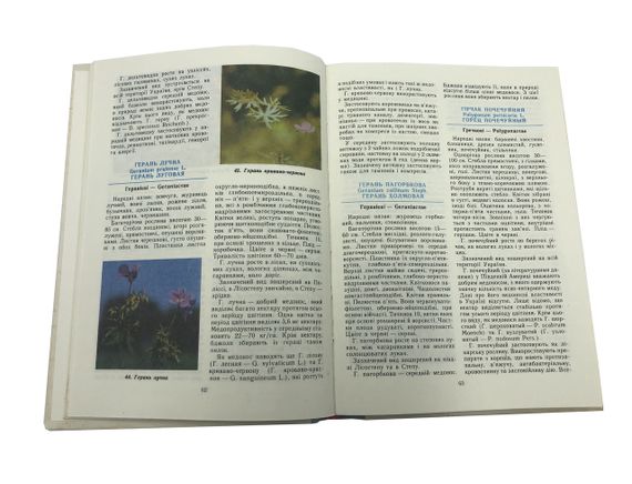 Книга «Атлас медоносних рослин України» Л.І. Бондарчук, 1993 (на украинском языке) | Зображення 3