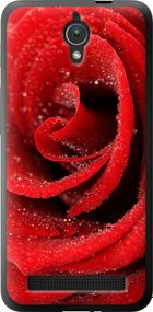 Чехол на Asus ZenFone C ZC451CG Красная роза "529u-181-17620"
