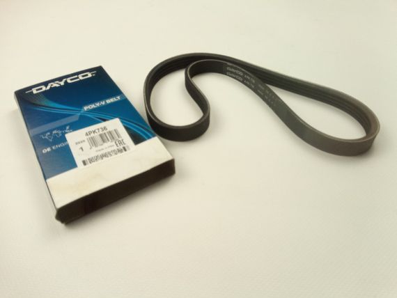 Ремінь кондиціонера Matiz 0.8 без ГУР, DAYCO (4PK736) (96569402) | Зображення 1