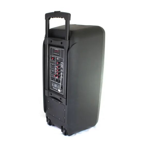 Портативная колонка Su-Kam 1010 + 2 микрофона + BT 12v220v | Зображення 3