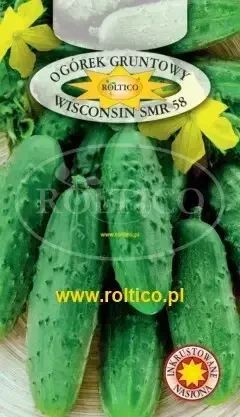 Огірок Wisconsin  (Вісконсін) 5г інкруст. ТМ Roltico Польща