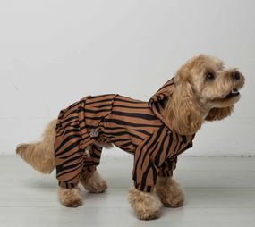 Костюм кишеня зебра D-201