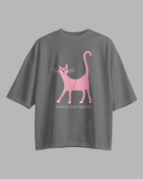 Oversize футболка з принтом Буєнос Діас сіра