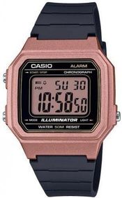Часы наручные мужские Casio W-217HM-5AVEF