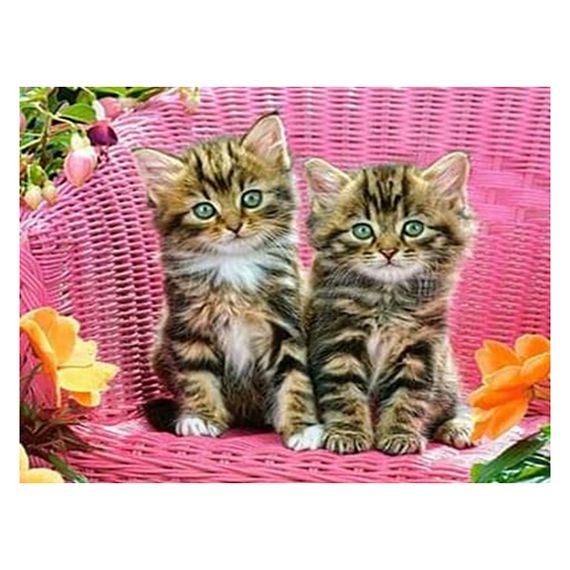 Алмазная мозаика "Пушистые близнецы" 178195 картон, неполная выкладка 21х25 см | Зображення 1