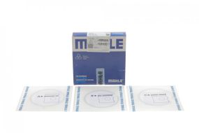 Кольца поршневые Opel Combo 1.7CDTI  79.00mm STD  2-1.5-3  629 20 V0