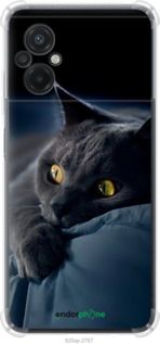 Чохол на Xiaomi Poco M5 Димчастий кіт "825sp-2767-2448"