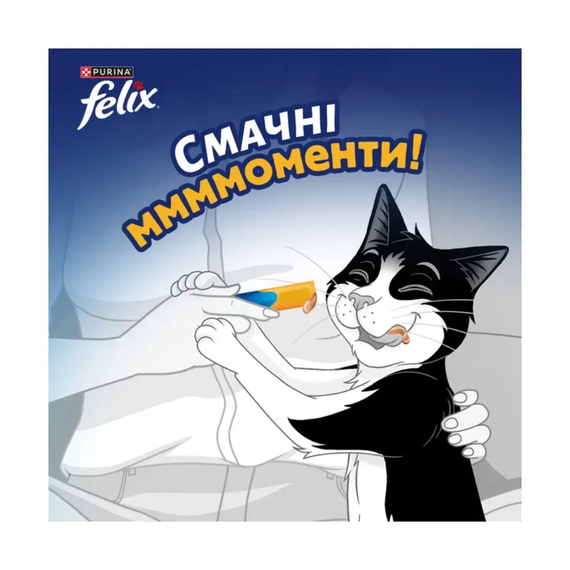 Кремові ласощі Felix Deli Moments для дорослих котів, з куркою 4*10г | Зображення 2