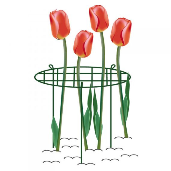 Опора для рослин Bradas кільцева 60 см Ø40 см TYRP14060S | Зображення 1