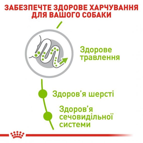 Корм Royal Canin X-Small Adult сухий для дорослих собак дрібних порід 1.5 кг | Зображення 3