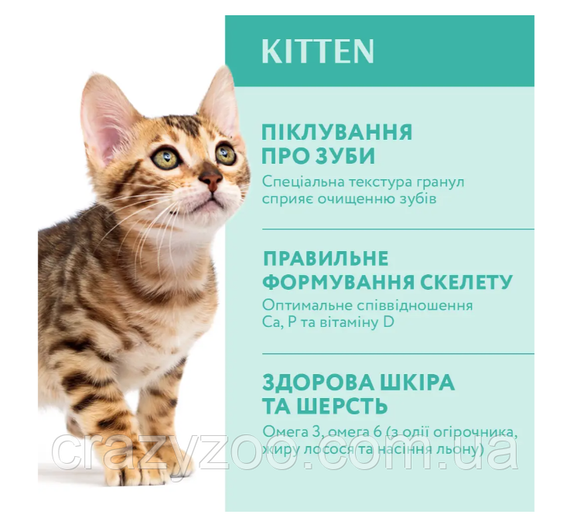 Сухой корм для котят OptiMeal Kitten с курицей 4 кг B1840901 | Зображення 1