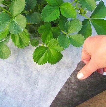 Агроволокно Shadow 50 г/м², 1,07х100 м, чорно-біле (АВЧБР00010) | Зображення 3