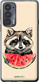 Чохол на Motorola Edge 20 Єнотик з кавуном "4605u-2497-2448"