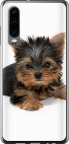 Чехол на Huawei P30 Щенок йоркширского терьера "931u-1622-17620"