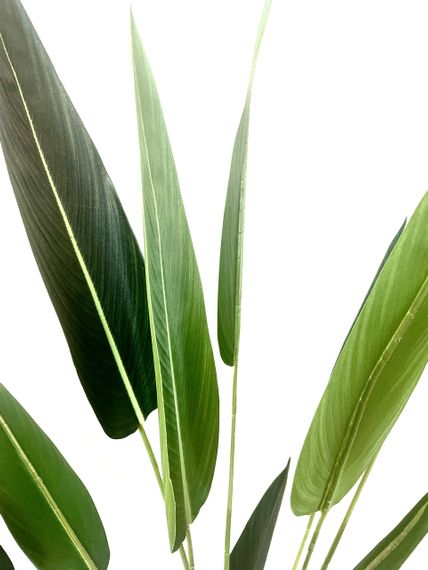 Стрелиция искусственная в горшке 130 см | Зображення 1