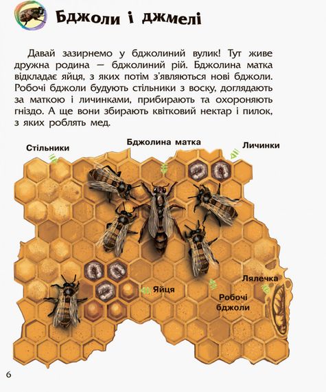 Дитяча енциклопедія про комах 614014 для дошкільнят | Зображення 2