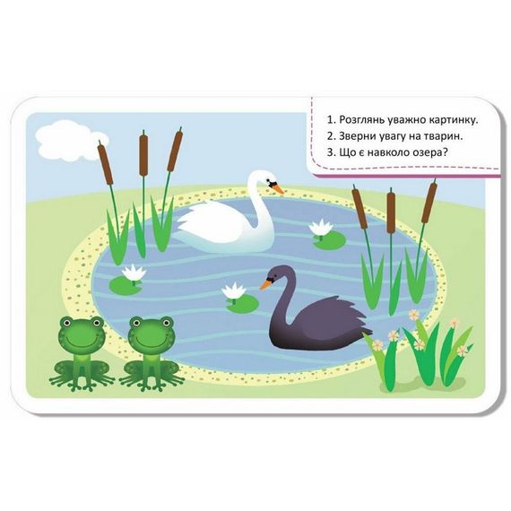 Детские развивающие карточки "Мир вокруг" 1664001, 20 карточек | Зображення 4