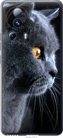 Чехол на Xiaomi Civi 2 Красивый кот "3038u-2917-17620"