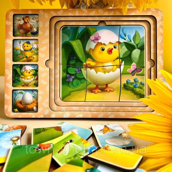 Деревянная настольная игра "Этапы развития курочки" Ubumblebees (ПСФ018) PSF018 сортер-пазл | Зображення 5
