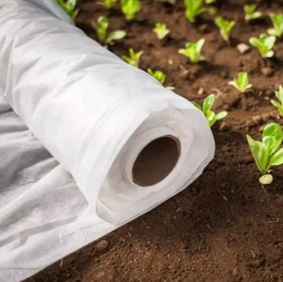 Агроволокно Shadow 23 г/м² 1,6 x 100 м АВБР00005 | Зображення 4