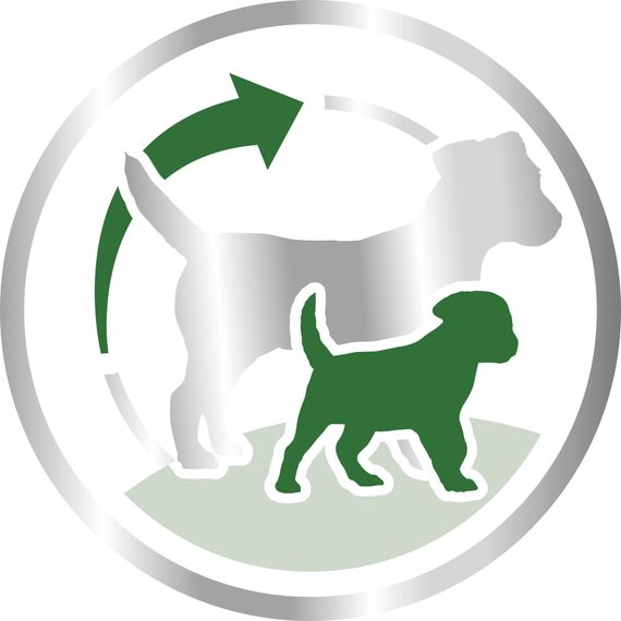 Сухий корм Royal Canin Mini Starter для собак дрібних порід в період вагітності і лактації. 8 кг | Зображення 2