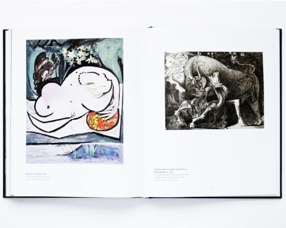 Книга про життя і творчість Пабло Пікассо Picasso The art world of drawing живопис книги | Зображення 2