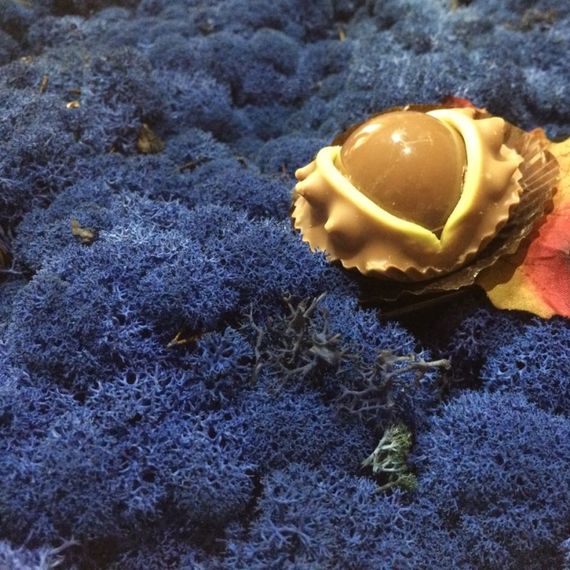 Очищенный стабилизированный мох ягель Nordic moss Синий лазурный 1 кг | Зображення 1