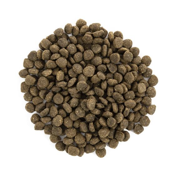 Корм сухий Brit Care Grain Free Mini Adult Lamb для дорослих собах мініатюрних порід з ягням 400 г | Зображення 1