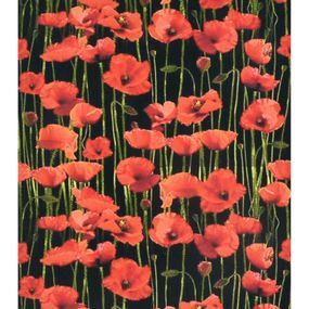 Алмазная мозаика "Маковое поле" SK86881 40х50 см