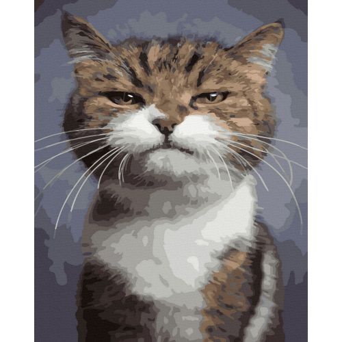 Картина по номерам "Котяка-подозревака" ★★★