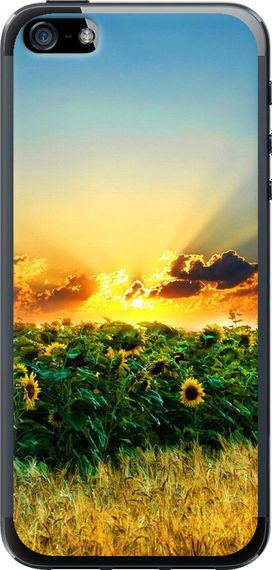 Чехол на iPhone 5s Украина "1601u-21-17620"