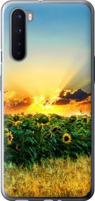 Чехол на OnePlus Nord Украина "1601u-2046-17620"