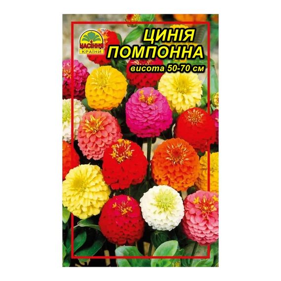 Насіння Цинія помпонна 0,5 г (Насіння країни)