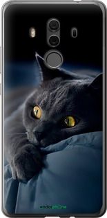 Чохол на Huawei Mate 10 Pro Димчастий кіт "825t-1138-2448"
