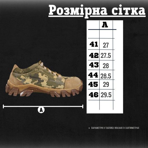 Кросівки тактичні всі піксель | Зображення 1