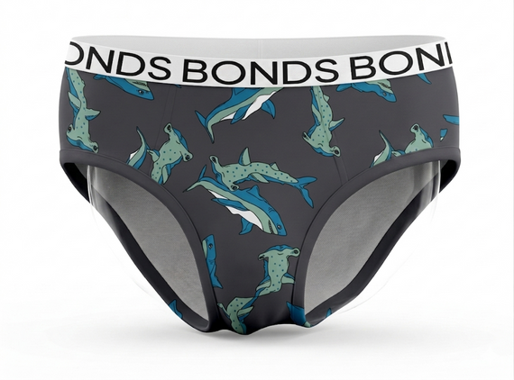 Набір трусів BONDS Boys Brief для хлопчиків, 4 шт в наборі, на 4-6 років. | Зображення 5