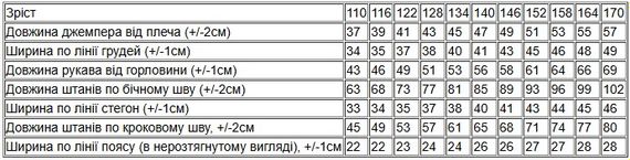 Костюм для дівчинки (підлітковий) Носи своє 110 Антрацит (p-4648-185718) | Зображення 2